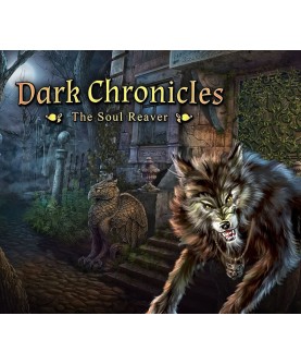Dark Chronicles: The Soul Reaver Steam Key GLOBAL